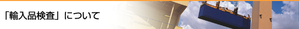 輸入品検査について